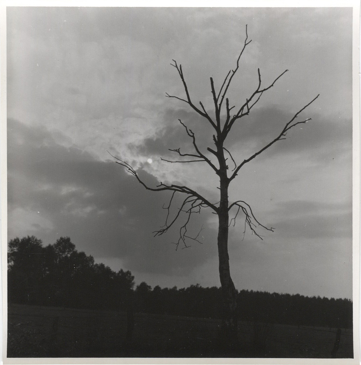 Fotograf: Hickstein, Carmen, Copyright: 1