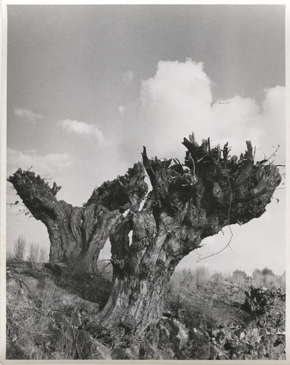 Photographer: Hickstein, Carmen, Copyright: 1