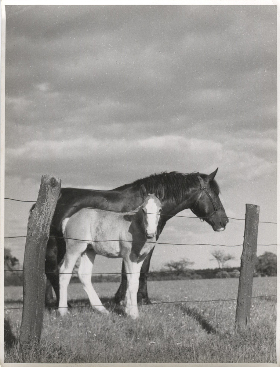 Fotograf: Hickstein, Carmen, Copyright: 1