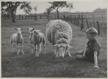 Fotograf: Hickstein, Carmen, Copyright: 1