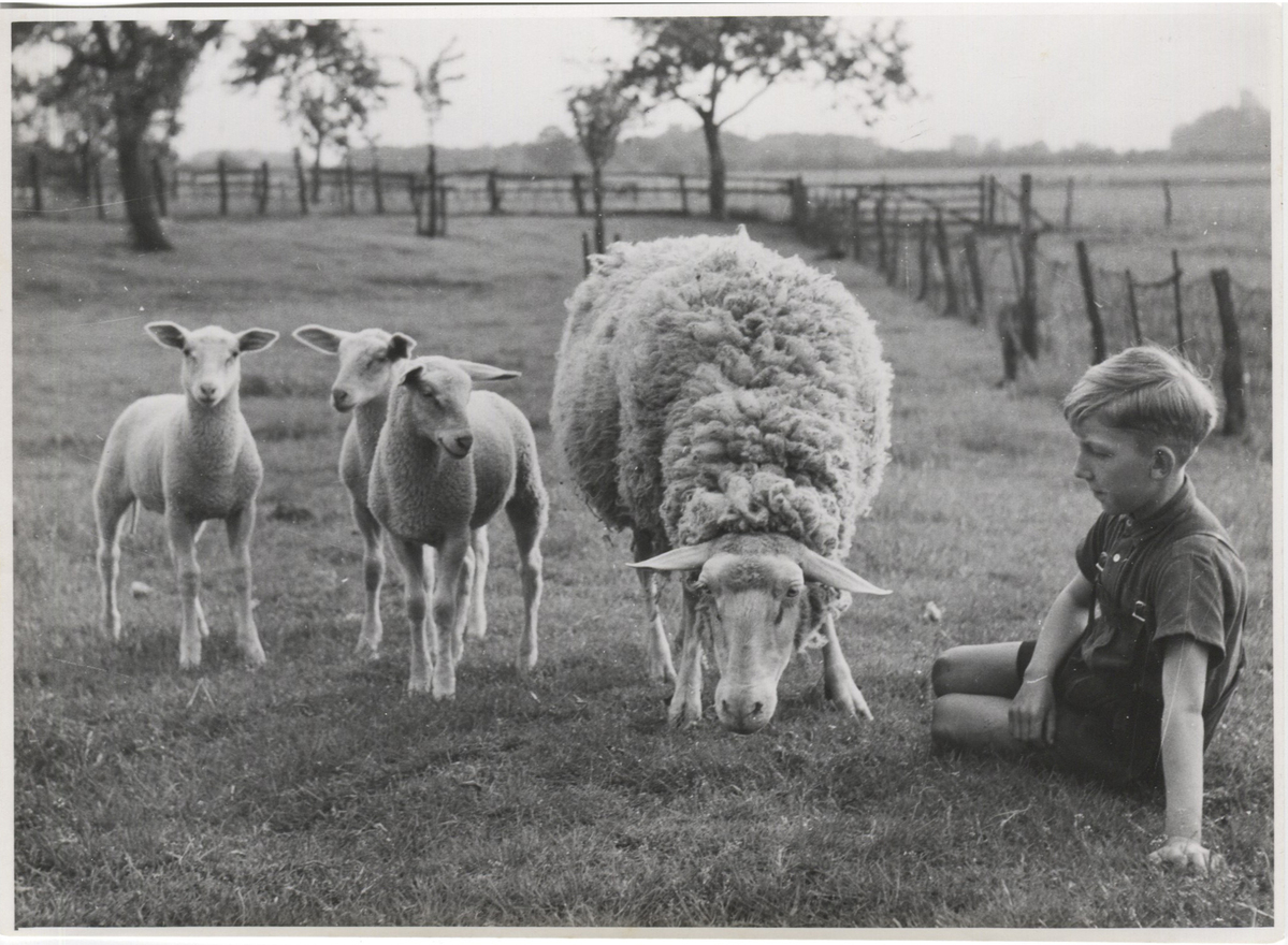 Fotograf: Hickstein, Carmen, Copyright: 1