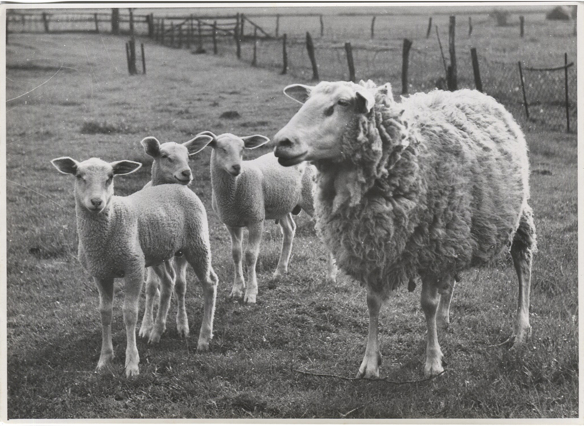 Fotograf: Hickstein, Carmen, Copyright: 1