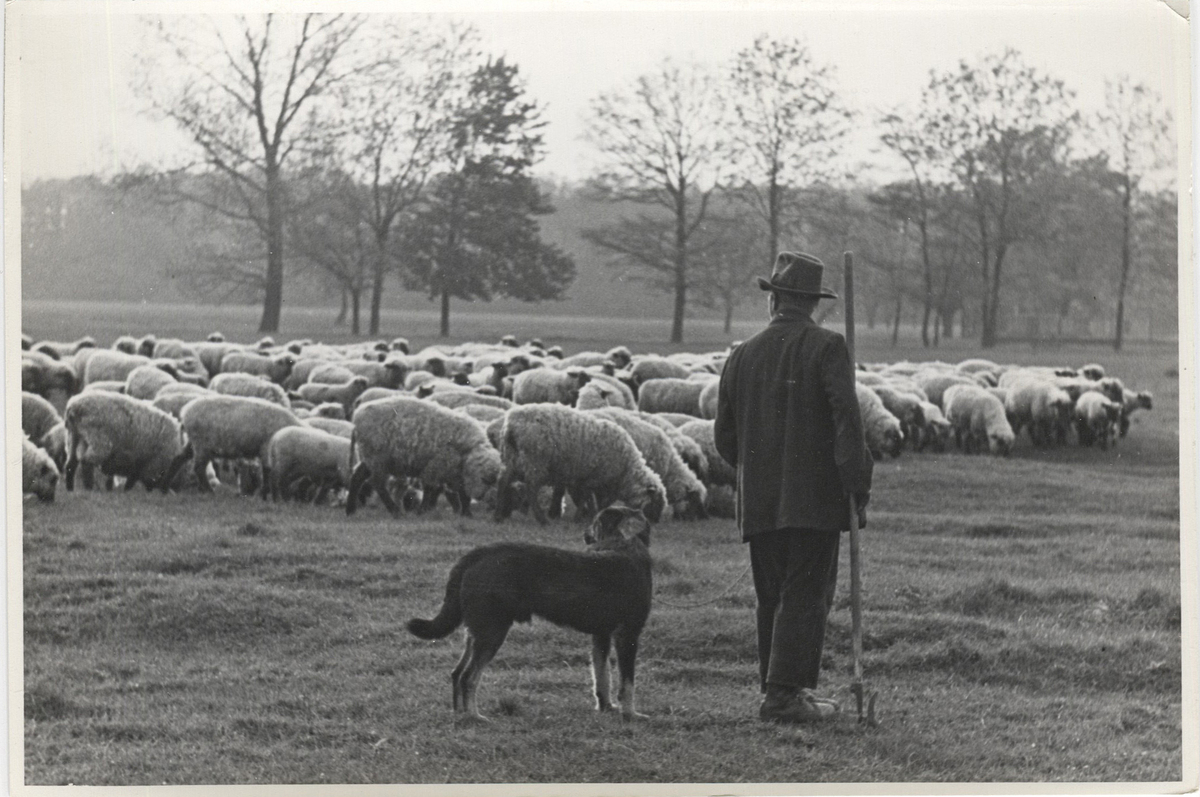 Fotograf: Hickstein, Carmen, Copyright: 1
