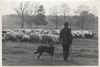 Fotograf: Hickstein, Carmen, Copyright: 1