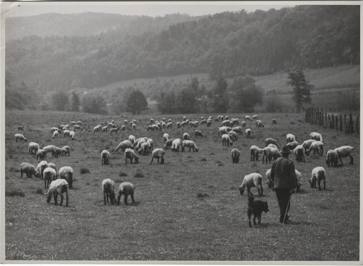 Fotograf: Hickstein, Carmen, Copyright: 1