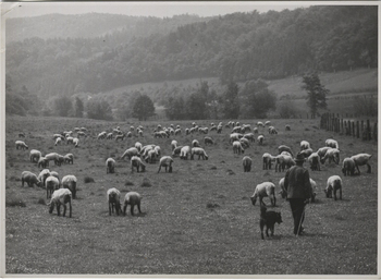 Fotograf: Hickstein, Carmen, Copyright: 1