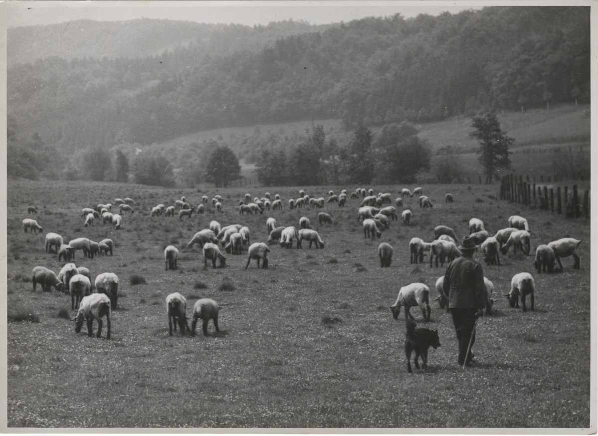 Fotograf: Hickstein, Carmen, Copyright: 1