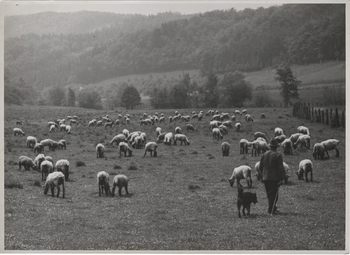 Fotograf: Hickstein, Carmen, Copyright: 1