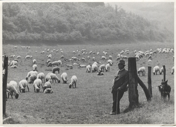 Fotograf: Hickstein, Carmen, Copyright: 1