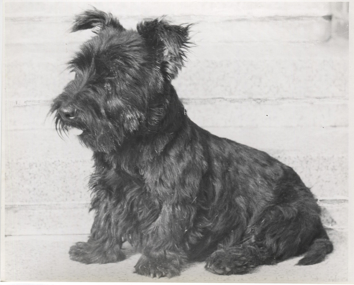 Photographer: Hickstein, Carmen, Copyright: 1