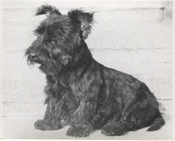 Fotograf: Hickstein, Carmen, Copyright: 1