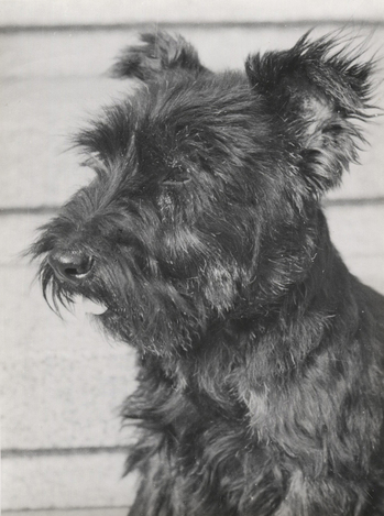Fotograf: Hickstein, Carmen, Copyright: 1