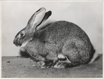 Fotograf: Hickstein, Carmen, Copyright: 1