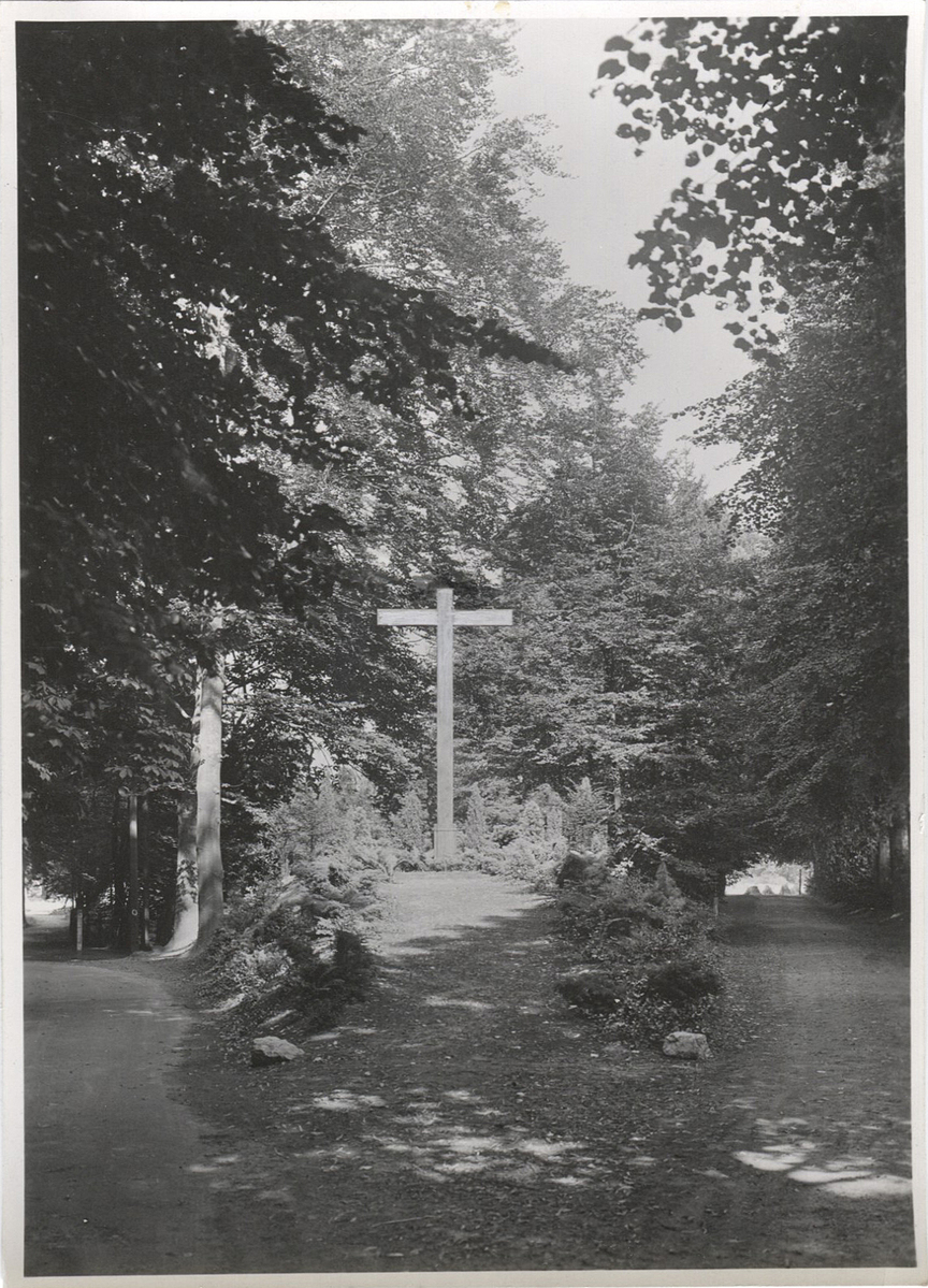 Fotograf: Hickstein, Carmen, Copyright: 1