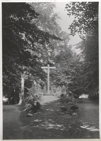 Fotograf: Hickstein, Carmen, Copyright: 1