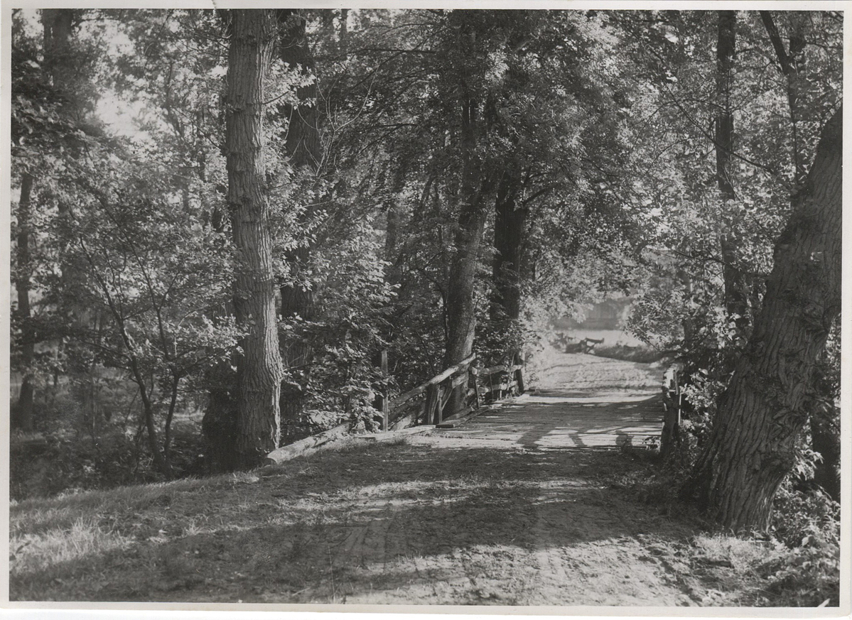 Fotograf: Hickstein, Carmen, Copyright: 1