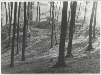 Fotograf: Hickstein, Carmen, Copyright: 1