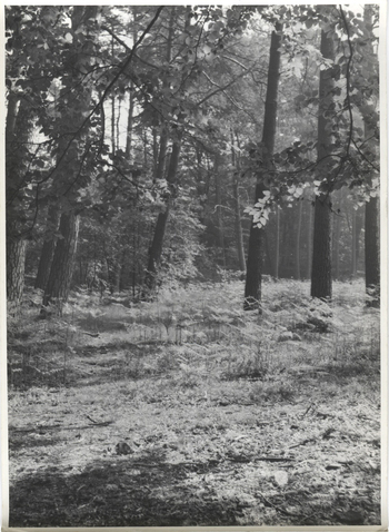 Fotograf: Hickstein, Carmen, Copyright: 1