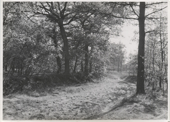 Fotograf: Hickstein, Carmen, Copyright: 1