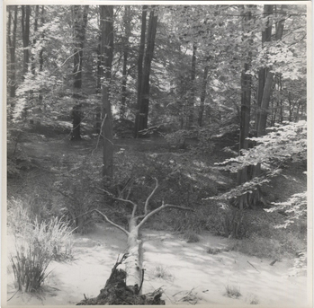 Fotograf: Hickstein, Carmen, Copyright: 1