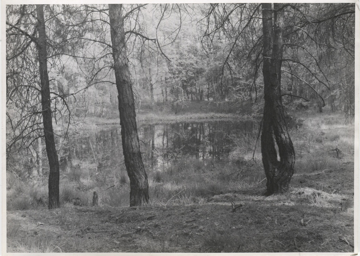 Fotograf: Hickstein, Carmen, Copyright: 1