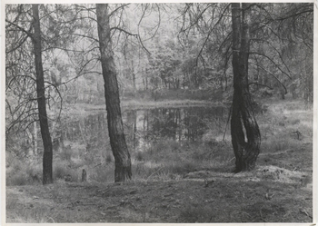 Fotograf: Hickstein, Carmen, Copyright: 1