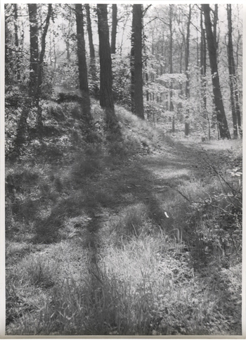 Fotograf: Hickstein, Carmen, Copyright: 1