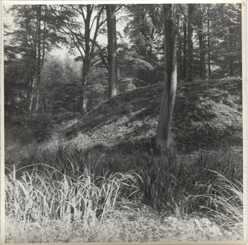 Photographer: Hickstein, Carmen, Copyright: 1
