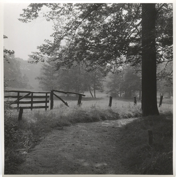 Fotograf: Hickstein, Carmen, Copyright: 1