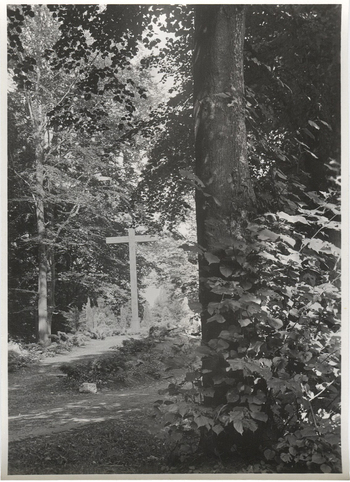 Fotograf: Hickstein, Carmen, Copyright: 1