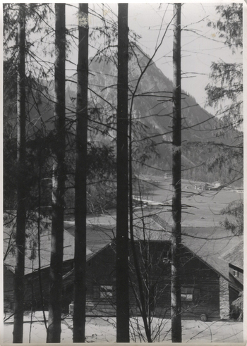 Fotograf: Hickstein, Carmen, Copyright: 1