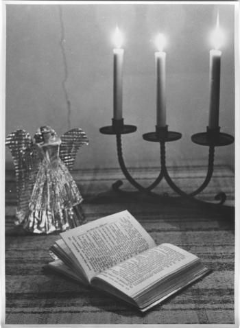 Fotograf: Hickstein, Carmen, Copyright: 1