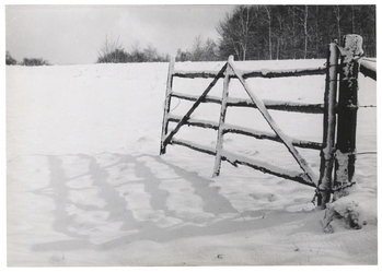 Fotograf: Hickstein, Carmen, Copyright: 1