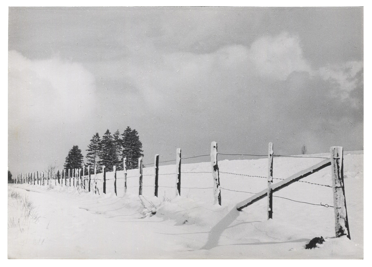 Fotograf: Hickstein, Carmen, Copyright: 1