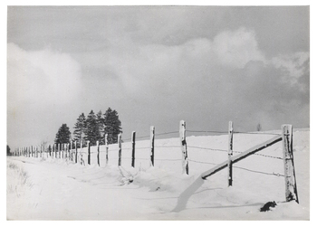 Fotograf: Hickstein, Carmen, Copyright: 1