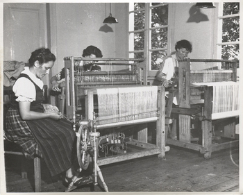 Fotograf: Hickstein, Carmen, Copyright: 1