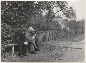 Fotograf: Hickstein, Carmen, Copyright: 1