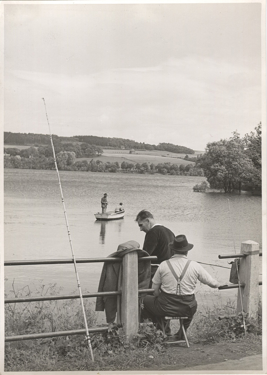 Fotograf: Hickstein, Carmen, Copyright: 1