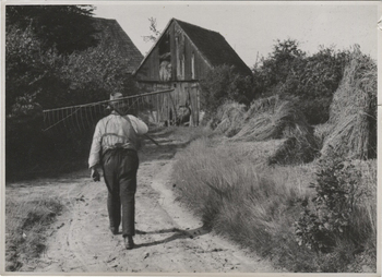 Fotograf: Hickstein, Carmen, Copyright: 1