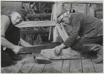 Fotograf: Hickstein, Carmen, Copyright: 1