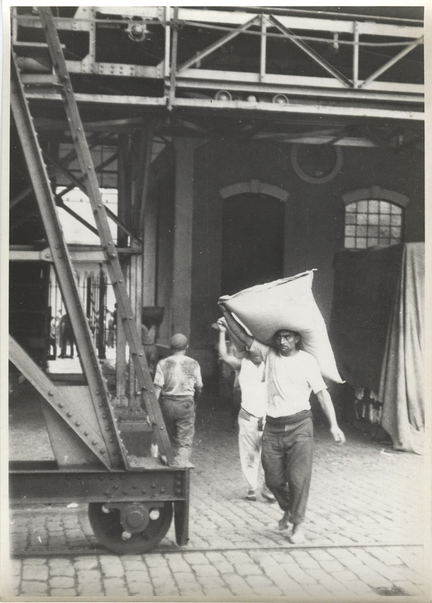 Fotograf: Hickstein, Carmen, Copyright: 1