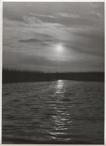 Fotograf: Hickstein, Carmen, Copyright: 1