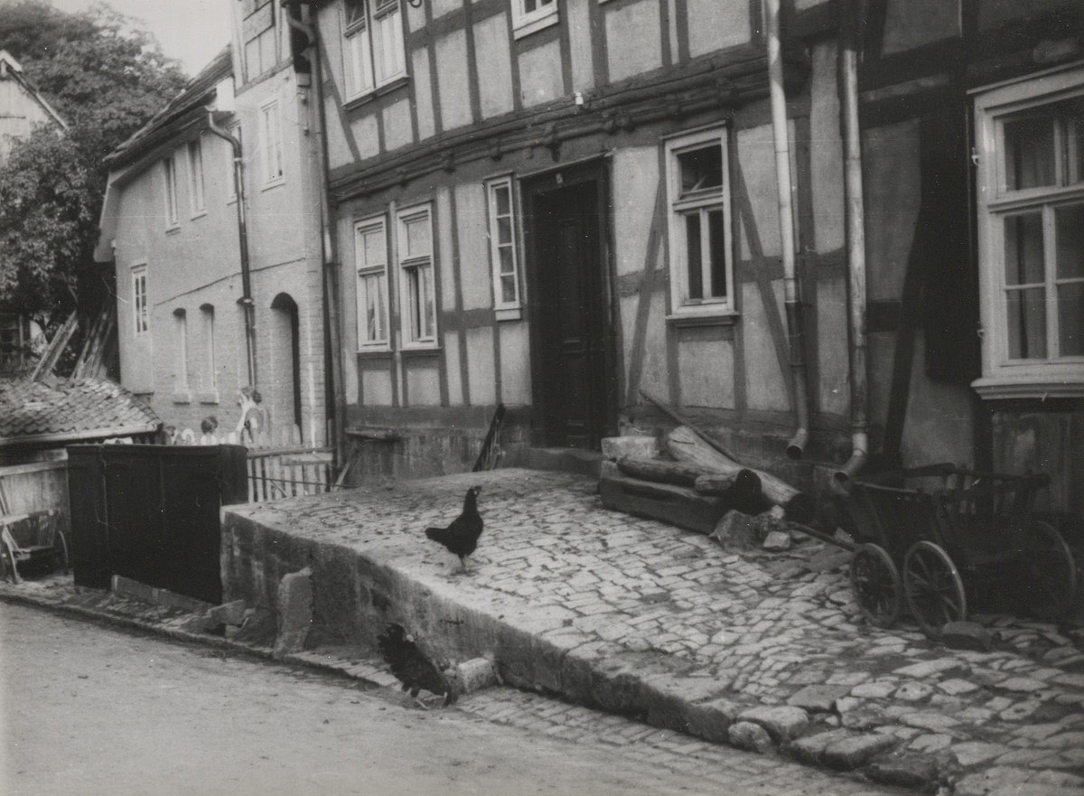 Fotograf: Hickstein, Carmen, Copyright: 1