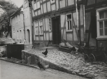 Fotograf: Hickstein, Carmen, Copyright: 1