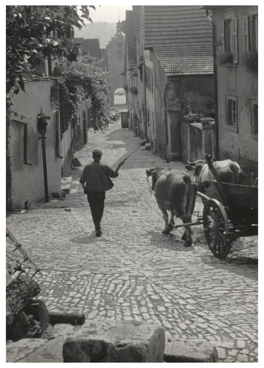 Fotograf: Hickstein, Carmen, Copyright: 1