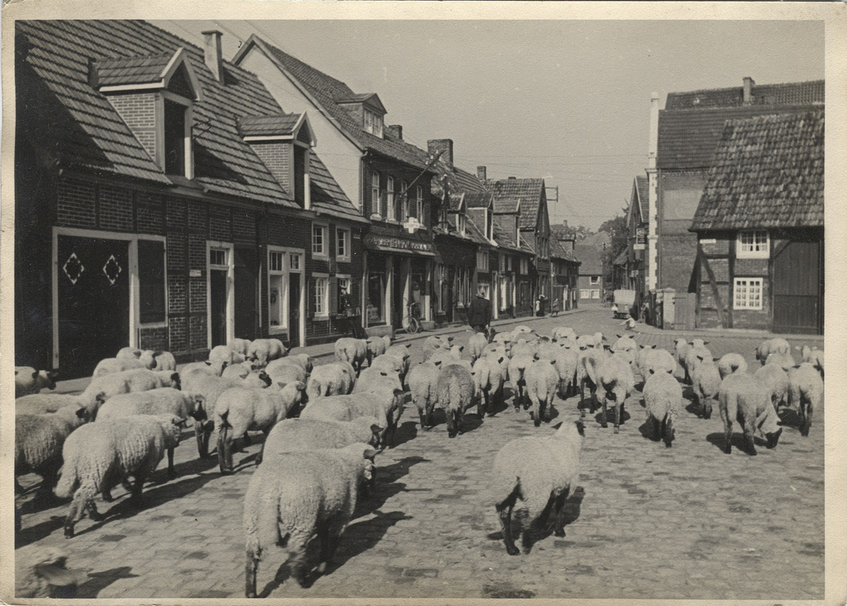 Fotograf: Hickstein, Carmen, Copyright: 1