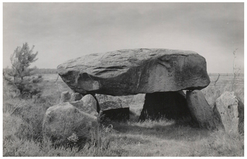 Fotograf: Hickstein, Carmen, Copyright: 1