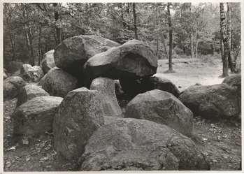 Fotograf: Hickstein, Carmen, Copyright: 1