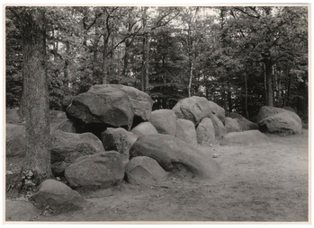 Fotograf: Hickstein, Carmen, Copyright: 1