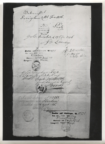 Fotograf: Hickstein, Carmen, Copyright: 1